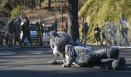 天津动物园爆料新闻事件,动物行为异常引发关注