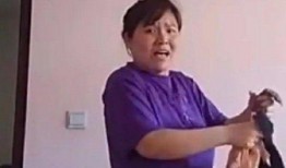 娱乐吃瓜君说郭老师,吃瓜群众热议背后的真相